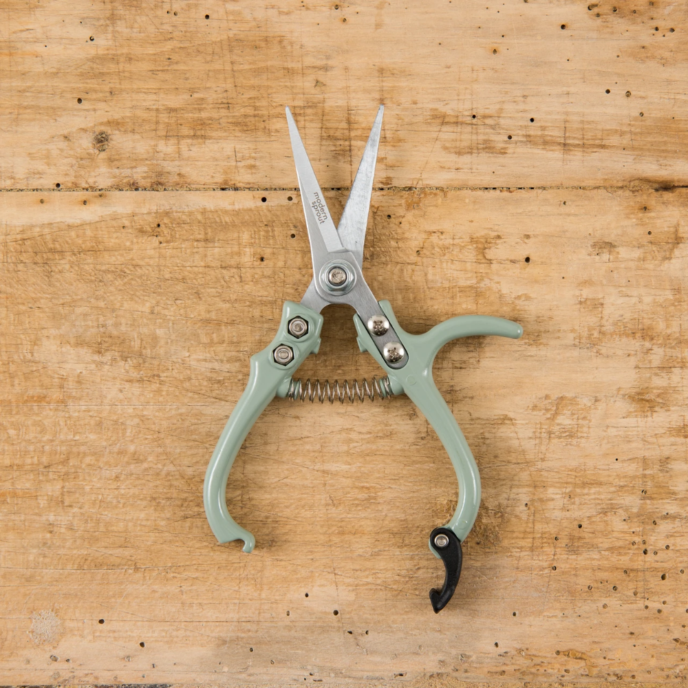 Pruning Shears