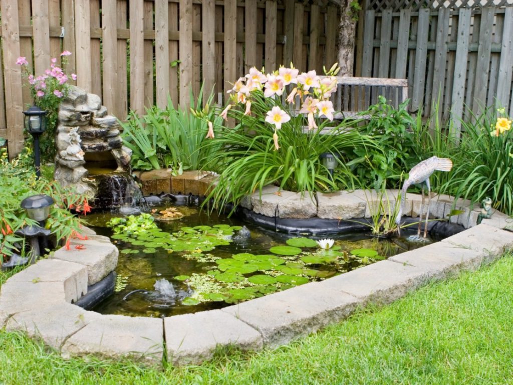 Garden with Fish Pond