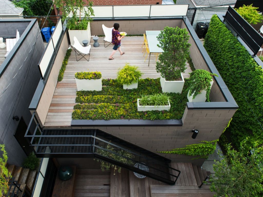 Rooftop Garden with Two Areas