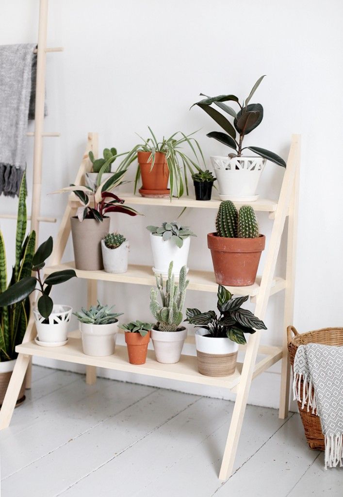 Ladder Plant Shelves