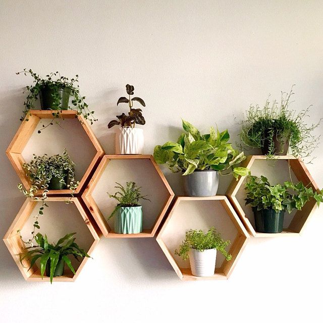 Hexagonal Shelves