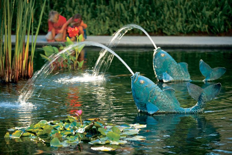 Fish Pond with Fountain