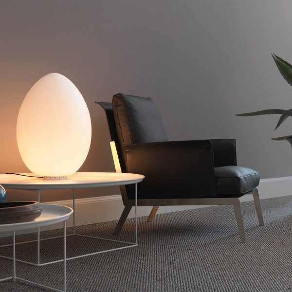 Egg Table Lamp