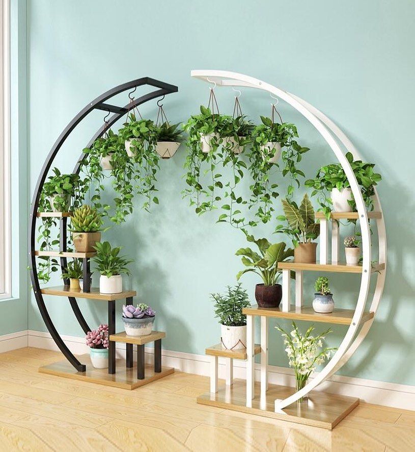 Circular Ornamental Plant Shelf