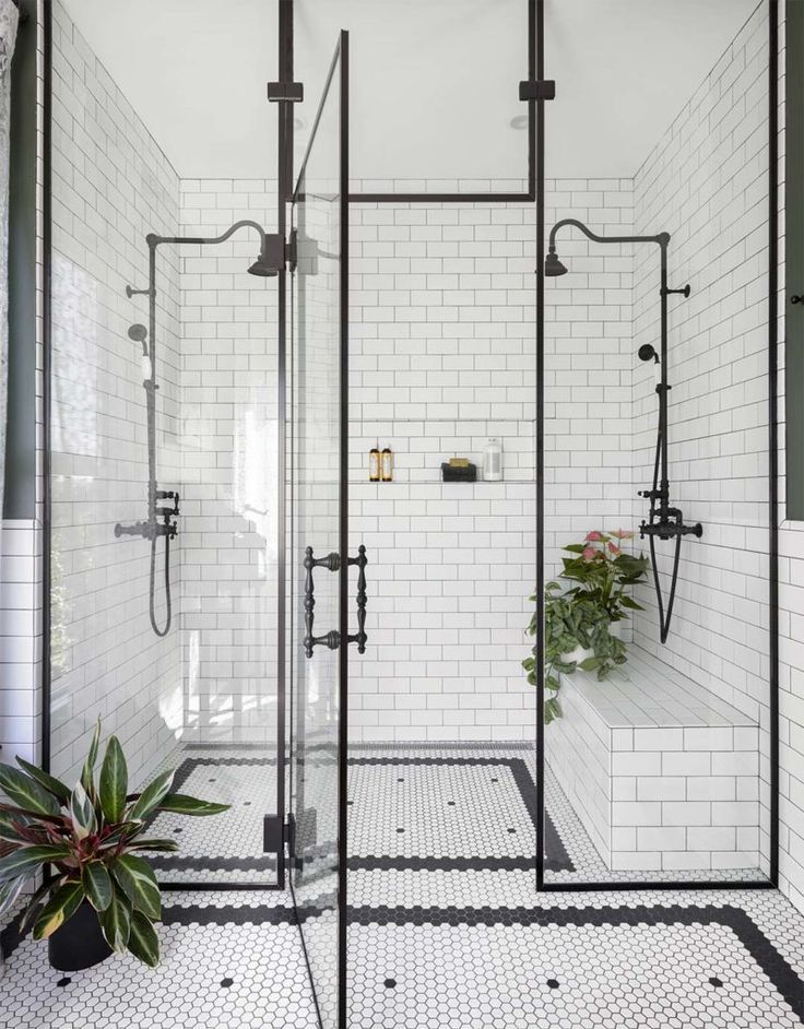 Shower Bathroom with an Ornamental Plant
