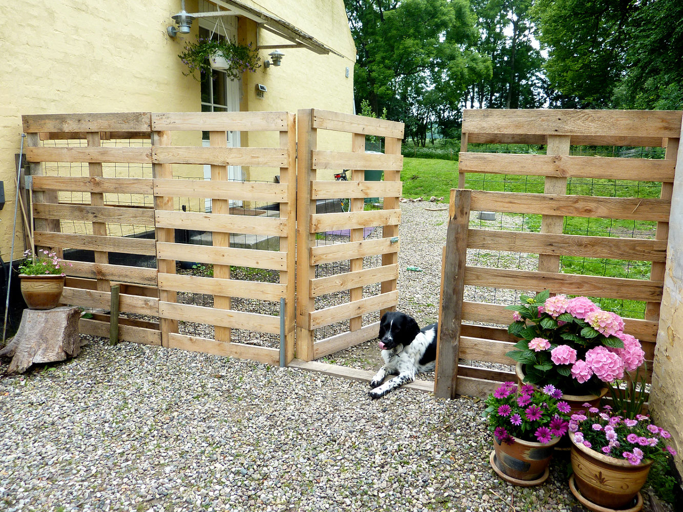 Pallet Fence