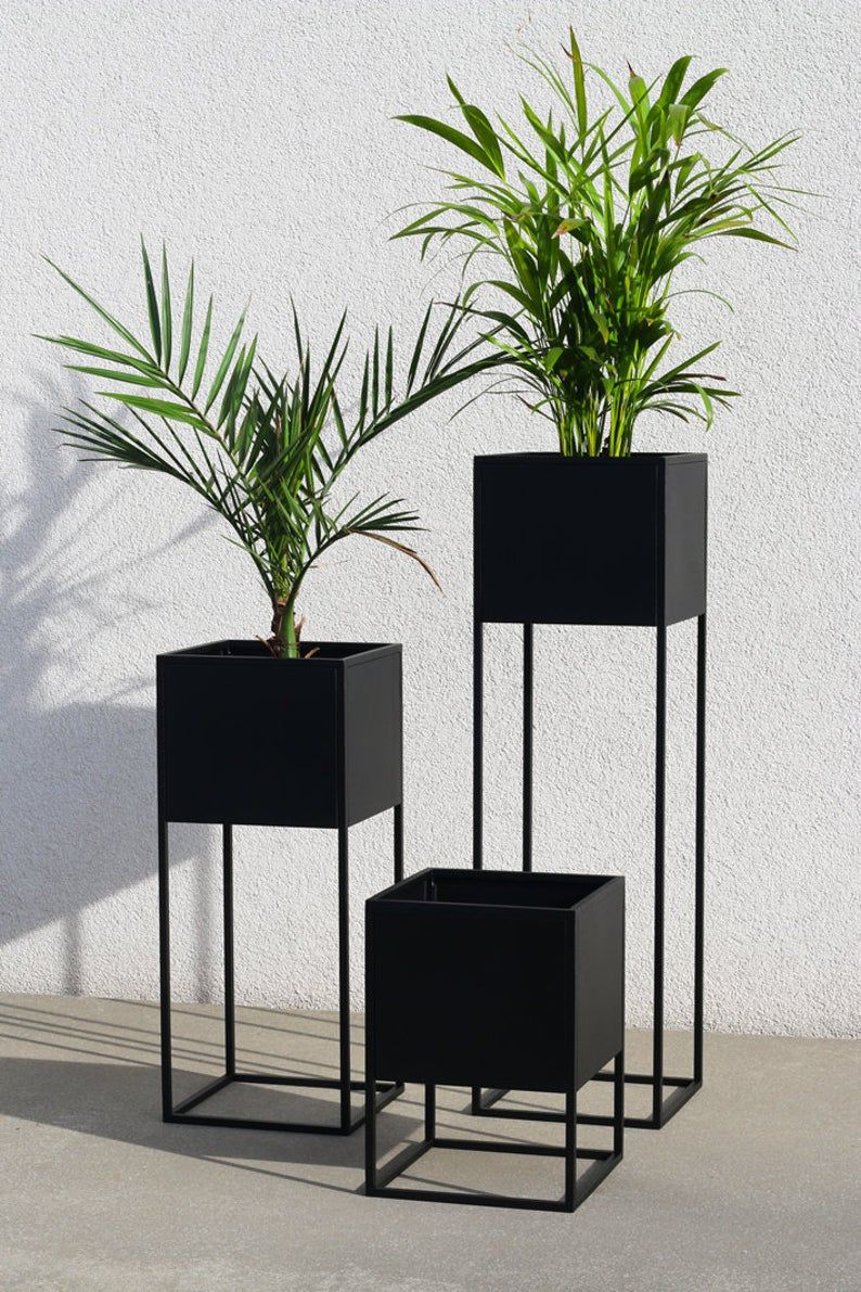 Cube Planter and Indoors Palm tree