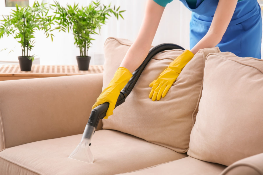 Wipe it by Using a Clean Cloth or Upholstery Vacuum Cleaner