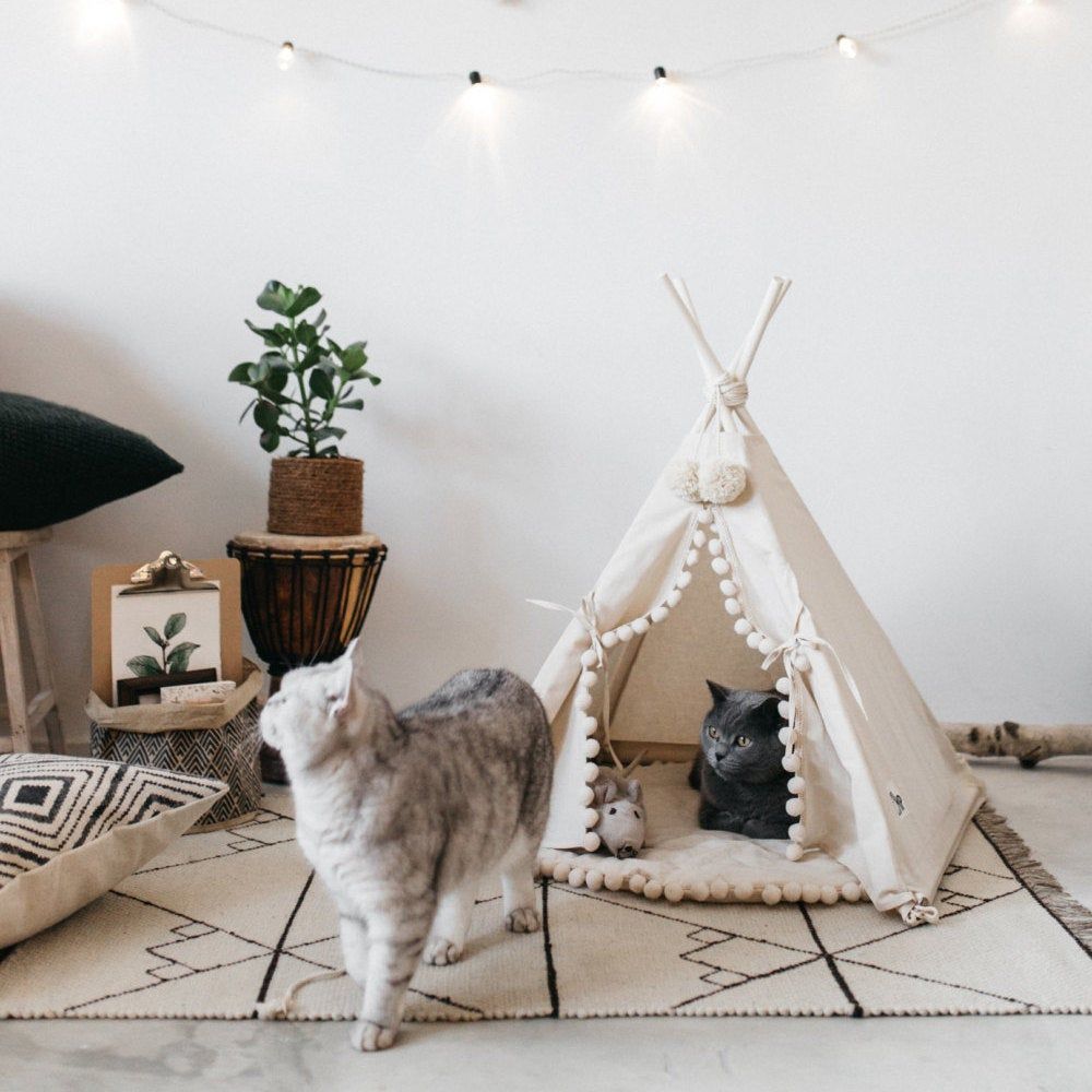 Pet House in a Bedroom