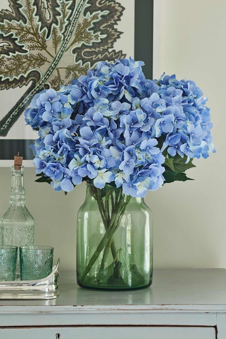 Hydrangea