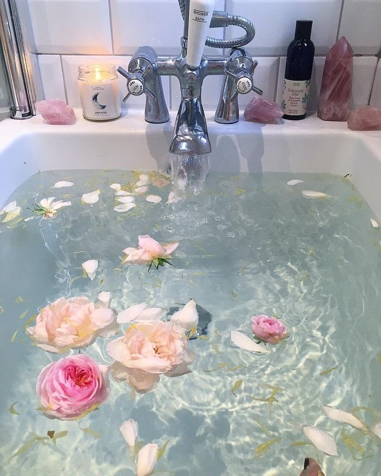Beautiful Roses in Your Bathtub