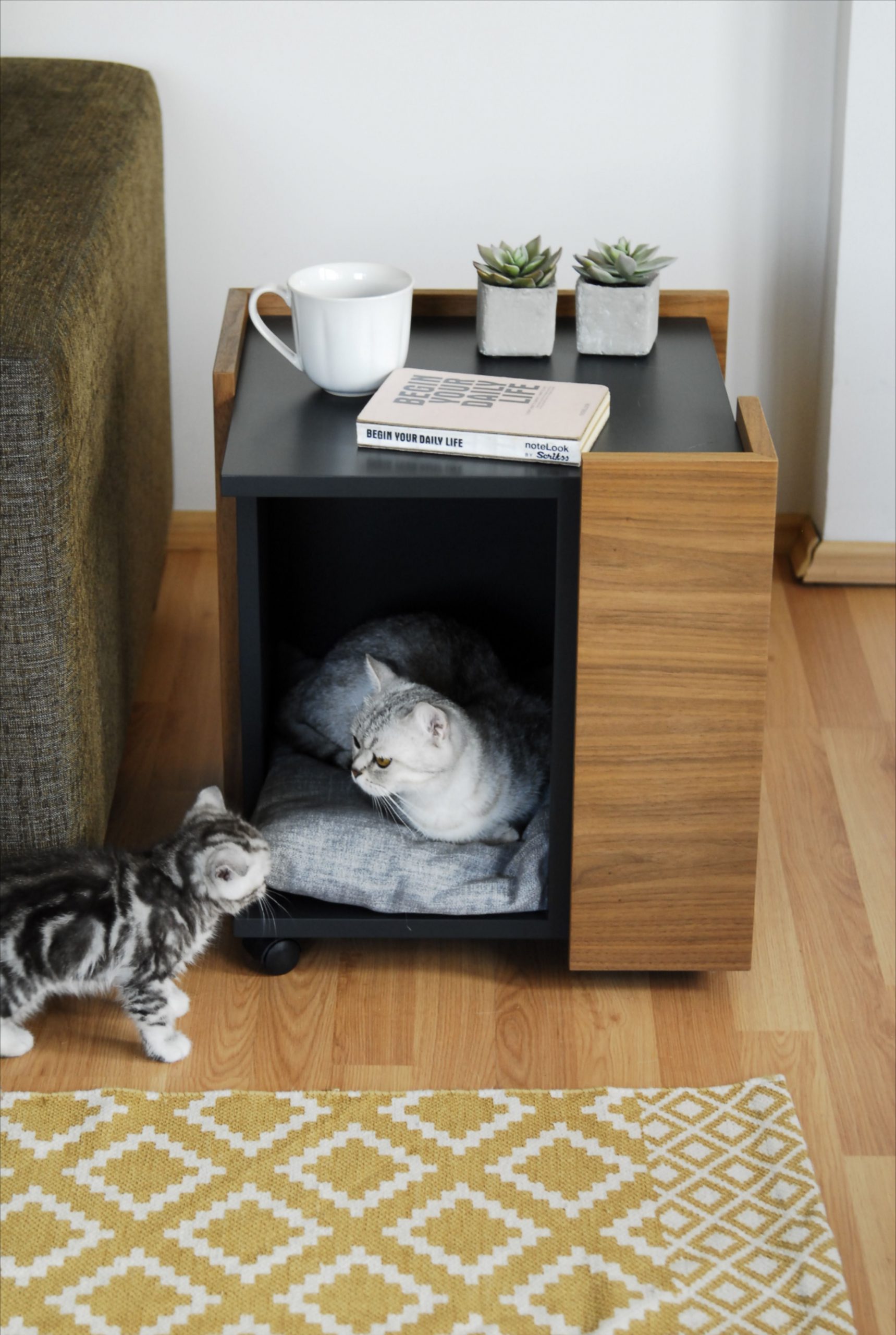 Pet House in a Living Room