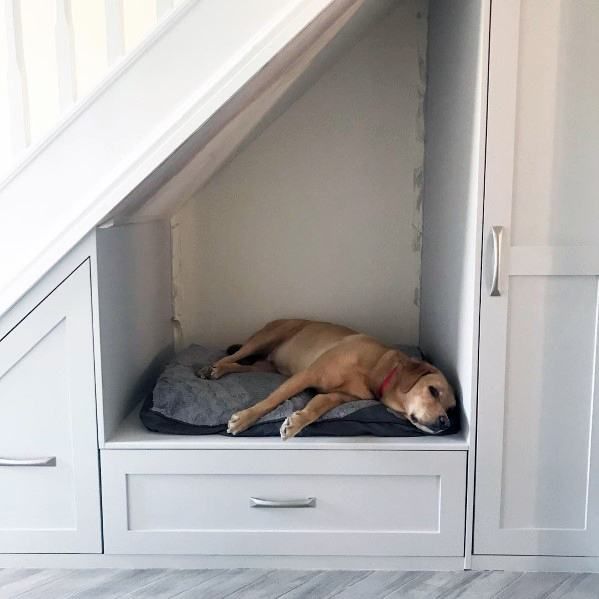 Pet House Under the Stairs