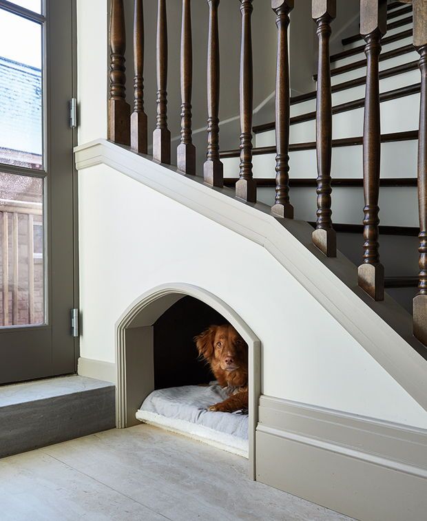 Pet House Under the Stairs