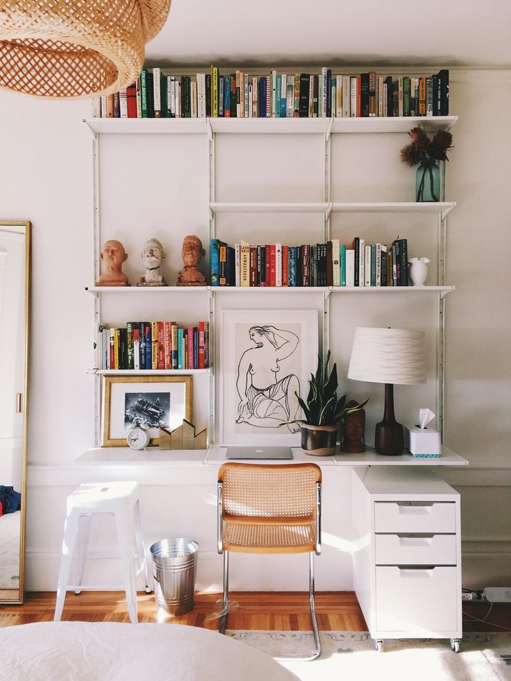 Mounted Bookshelves