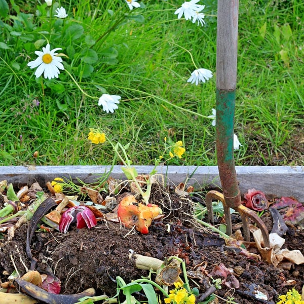 Make A Compost Pile and Other Amendments for Soil