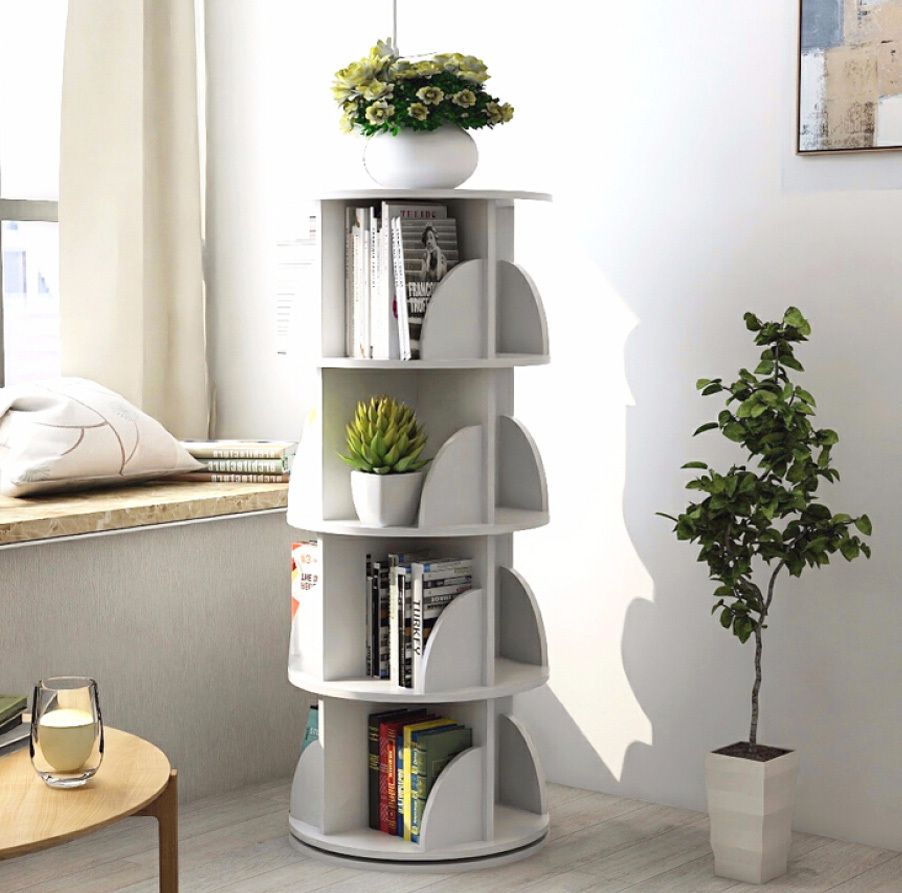 Minimalist Bookshelves with Ornamental Plants