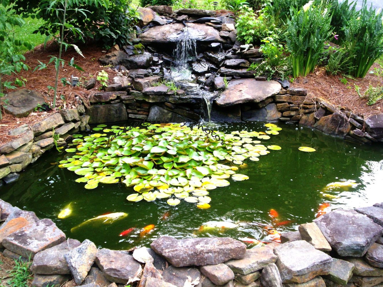 Install a Fish Pond Filter