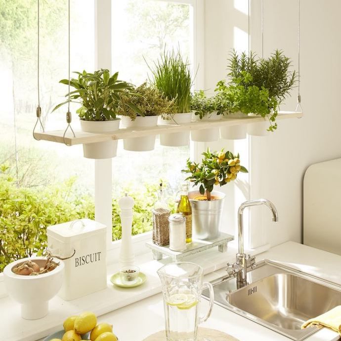 Mini Garden in Your Kitchen Interior