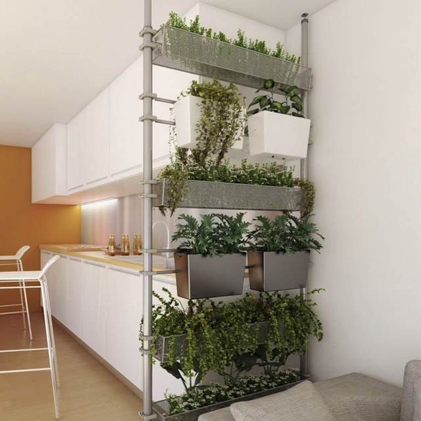 Room Partitions As Mini Gardens