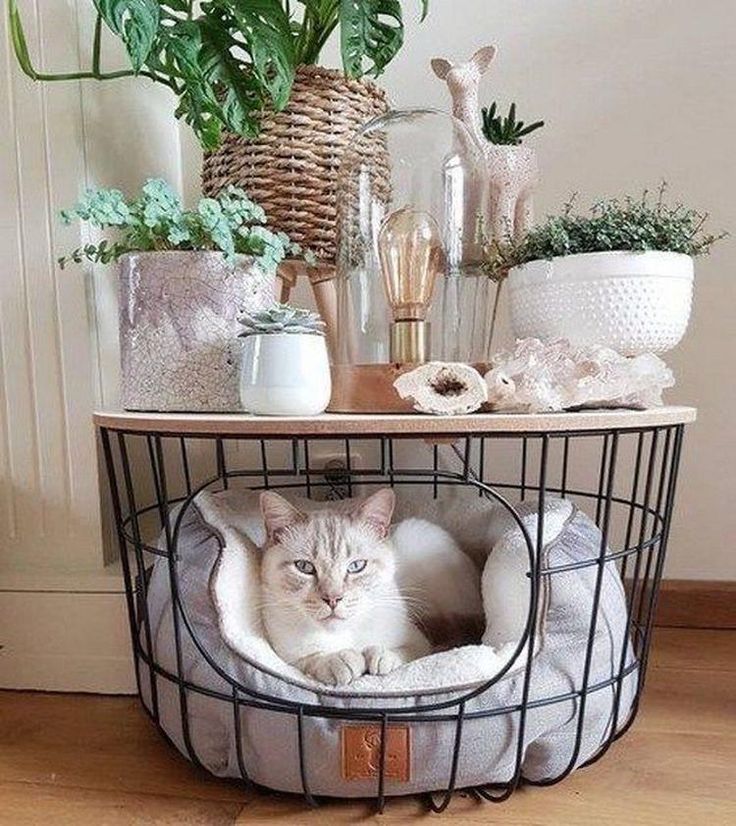 Multifunctional Cat Bed