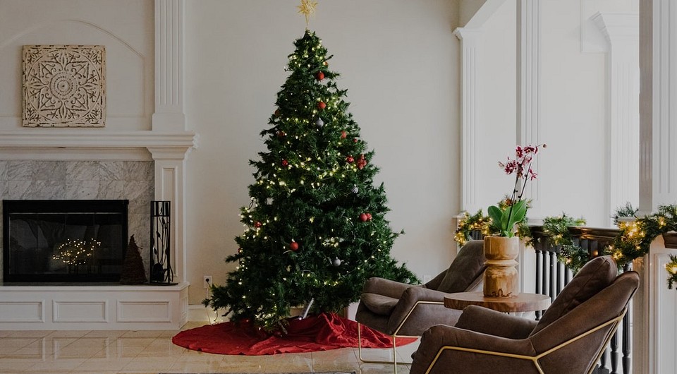 Combine Christmas Trees with Ornamental Plants