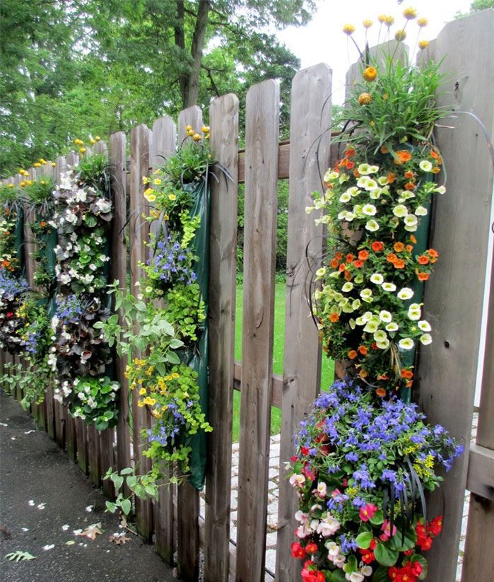 Decorate the Fence with Ornamental Plants