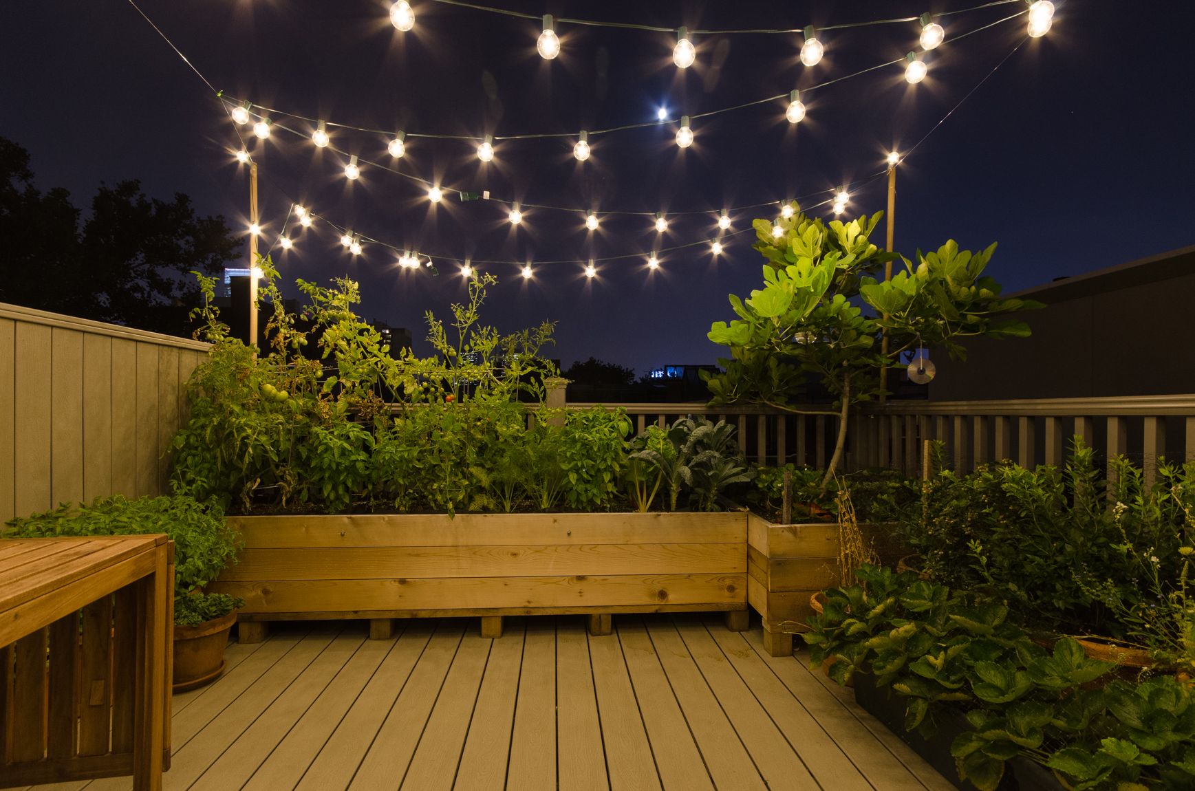 String Light on the Rooftop Garden