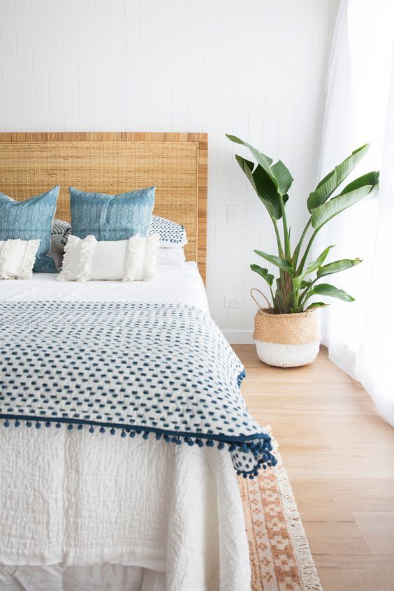 An Ornamental Plant to Redecorate Your Coastal Bedroom