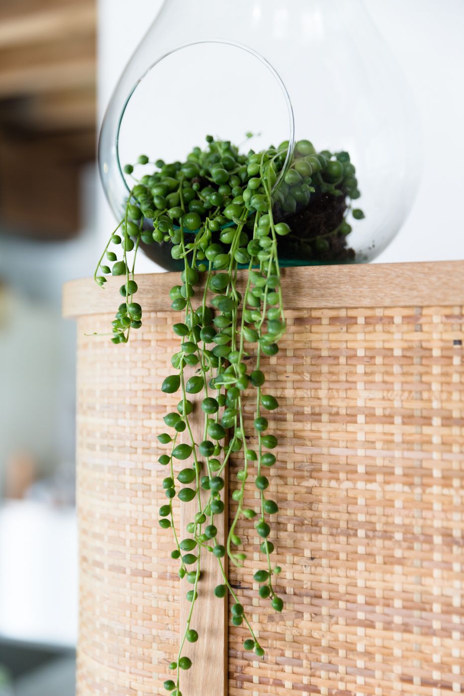 String of Pearls