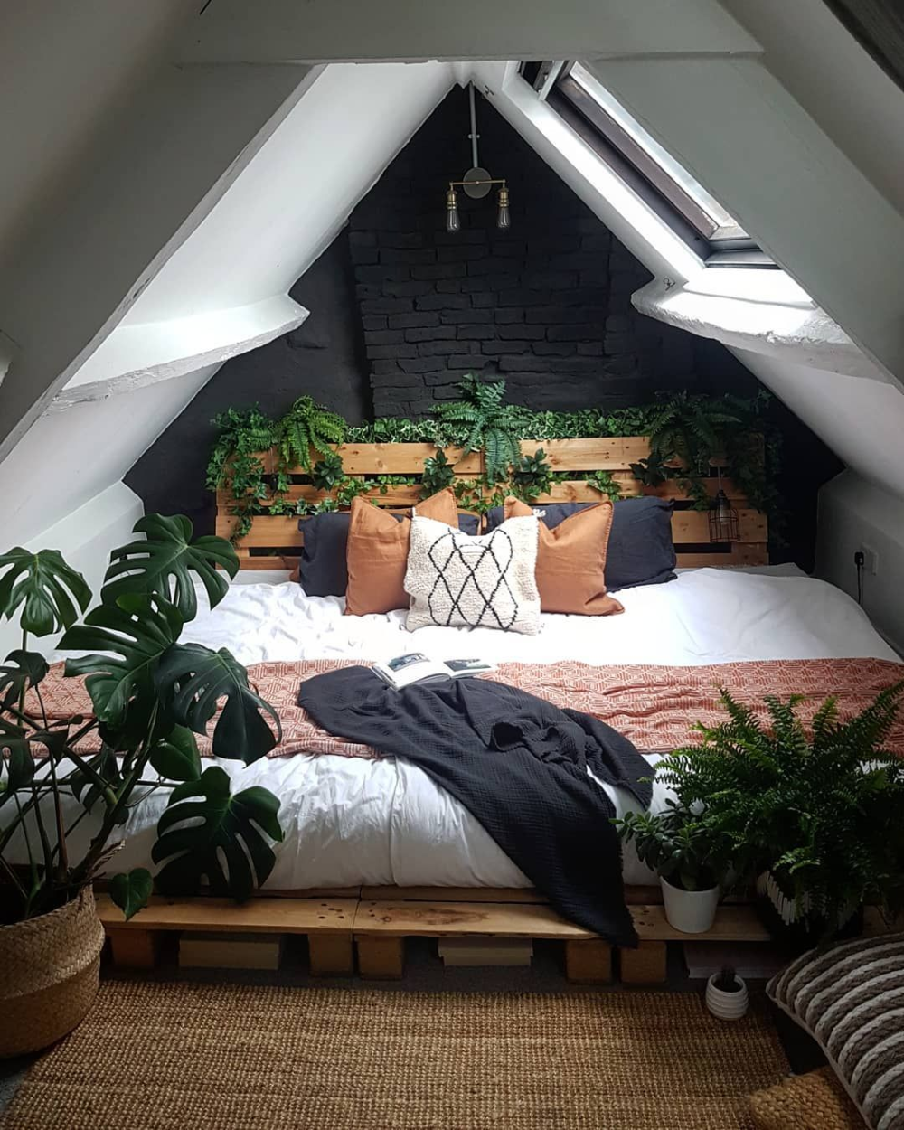 How to Thrive Indoor Plant in Your Attic Bedroom