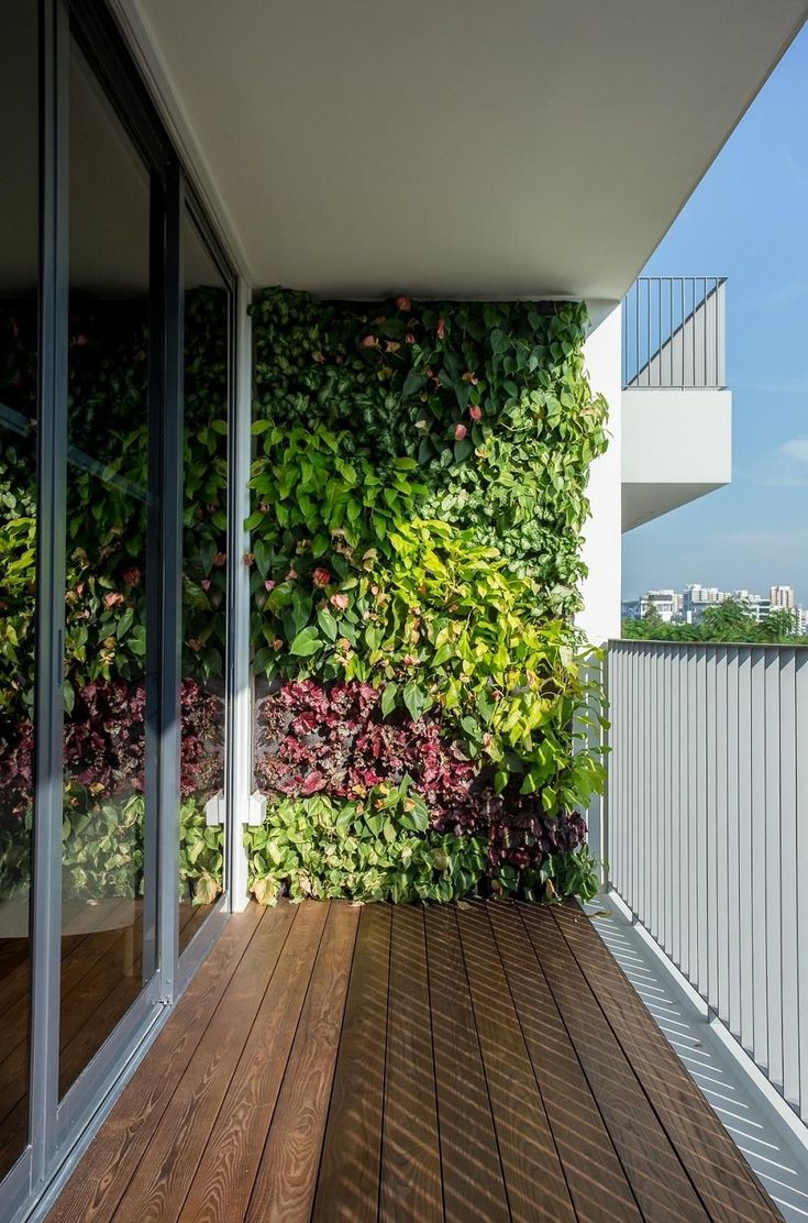 Add Sun Lover Plants on the Balcony Wall