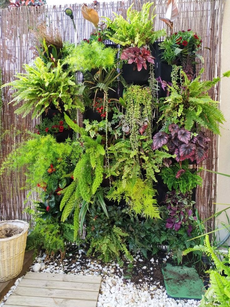 Get Some Ferns as Eccentric Accents