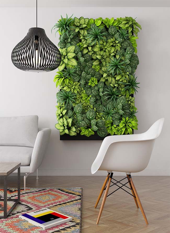 Add A Decorative Vertical Garden in the Living Room