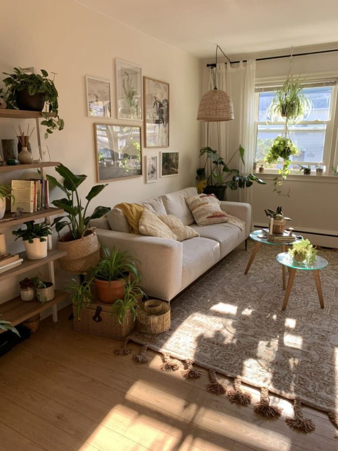 Designing a Pet-Friendly Apartment: Stylish and Functional Ideas - DruHomes